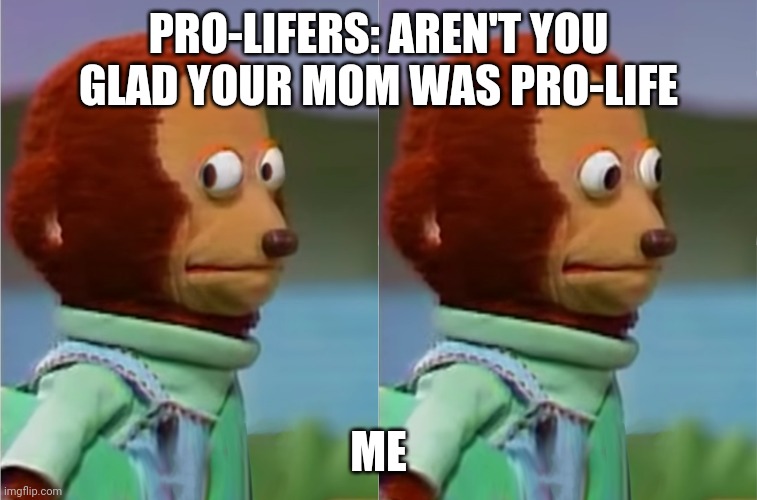 puppet Monkey looking away |  PRO-LIFERS: AREN'T YOU GLAD YOUR MOM WAS PRO-LIFE; ME | image tagged in puppet monkey looking away | made w/ Imgflip meme maker