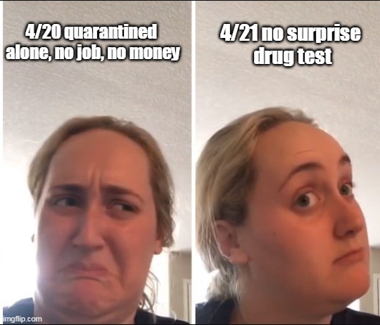 Kombucha Girl | 4/21 no surprise 
drug test; 4/20 quarantined 
alone, no job, no money | image tagged in kombucha girl,quarantine,420,coronavirus | made w/ Imgflip meme maker