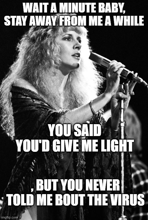 Stevie takes on COVID19 | WAIT A MINUTE BABY, STAY AWAY FROM ME A WHILE; YOU SAID YOU'D GIVE ME LIGHT; , BUT YOU NEVER TOLD ME BOUT THE VIRUS | image tagged in stevie nicks,covid-19 | made w/ Imgflip meme maker