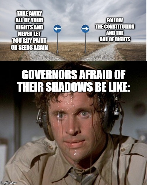 Sweating the choices | FOLLOW THE CONSTITUTION AND THE BILL OF RIGHTS; TAKE AWAY ALL OF YOUR RIGHTS AND NEVER LET YOU BUY PAINT OR SEEDS AGAIN; GOVERNORS AFRAID OF THEIR SHADOWS BE LIKE: | image tagged in sweating the choices | made w/ Imgflip meme maker