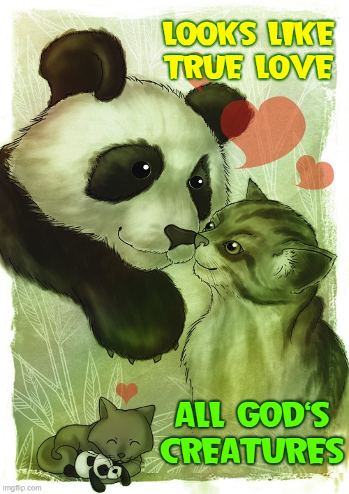LOOKS LIKE TRUE LOVE ALL GOD'S CREATURES | made w/ Imgflip meme maker