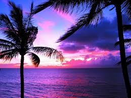 Pink Hawaiian Sunset Blank Meme Template