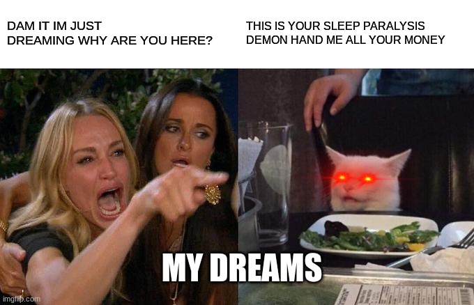 My dreams | DAM IT IM JUST DREAMING WHY ARE YOU HERE? THIS IS YOUR SLEEP PARALYSIS DEMON HAND ME ALL YOUR MONEY; MY DREAMS | image tagged in memes,woman yelling at cat | made w/ Imgflip meme maker