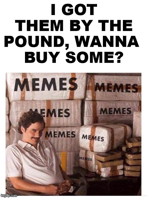 memes | I GOT THEM BY THE POUND, WANNA 
BUY SOME? | image tagged in memes | made w/ Imgflip meme maker