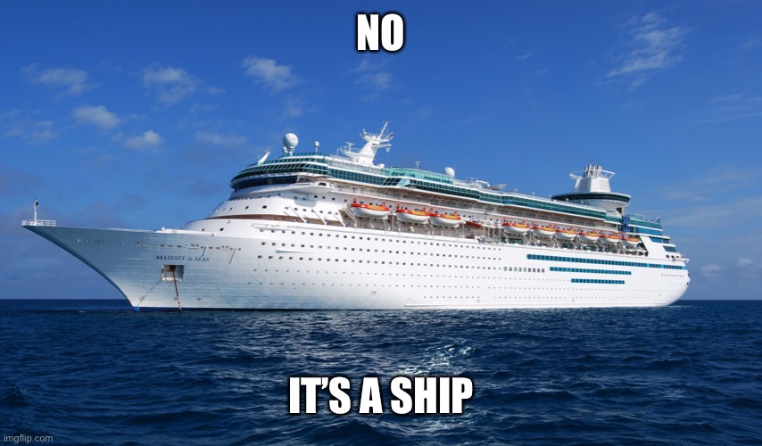 Cruise Ship | NO IT’S A SHIP | image tagged in cruise ship | made w/ Imgflip meme maker