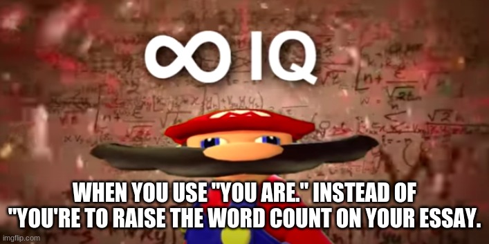 WHEN YOU USE "YOU ARE." INSTEAD OF "YOU'RE TO RAISE THE WORD COUNT ON YOUR ESSAY. | image tagged in school,smg4 | made w/ Imgflip meme maker
