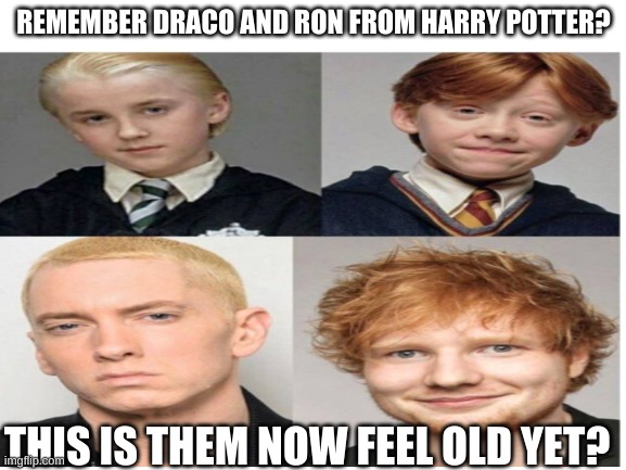 Feel old Yet? | REMEMBER DRACO AND RON FROM HARRY POTTER? THIS IS THEM NOW FEEL OLD YET? | image tagged in harry potter,eminem,ed sheeran,funny,memes | made w/ Imgflip meme maker