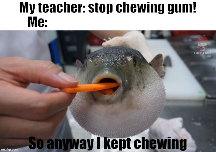 pufferfish carrot | My teacher: stop chewing gum!
Me:; So anyway I kept chewing | image tagged in pufferfish carrot | made w/ Imgflip meme maker