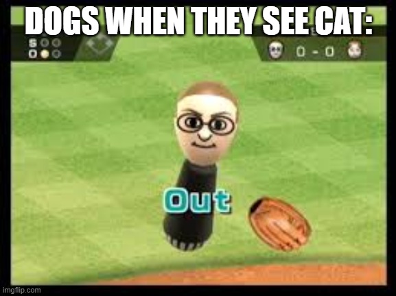 Wii Sports Out | DOGS WHEN THEY SEE CAT: | image tagged in wii sports out | made w/ Imgflip meme maker