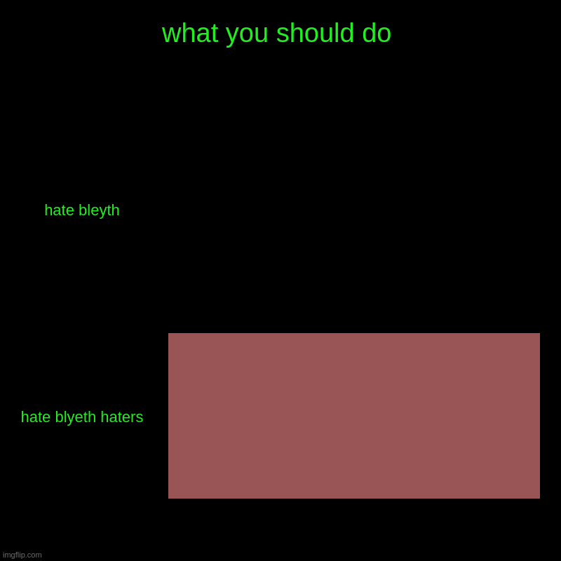 what you should do | hate bleyth, hate blyeth haters | image tagged in charts,bar charts | made w/ Imgflip chart maker