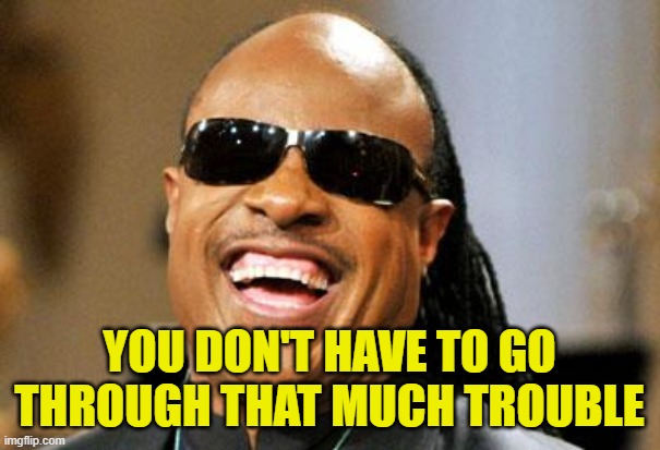 Stevie Wonder | YOU DON'T HAVE TO GO THROUGH THAT MUCH TROUBLE | image tagged in stevie wonder | made w/ Imgflip meme maker