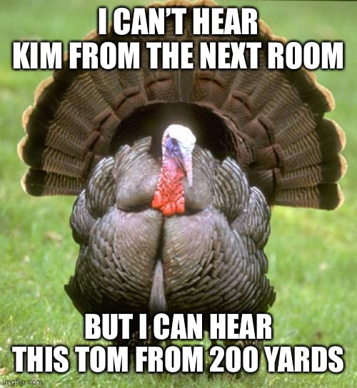 Turkey | I CAN’T HEAR KIM FROM THE NEXT ROOM; BUT I CAN HEAR THIS TOM FROM 200 YARDS | image tagged in memes,turkey | made w/ Imgflip meme maker