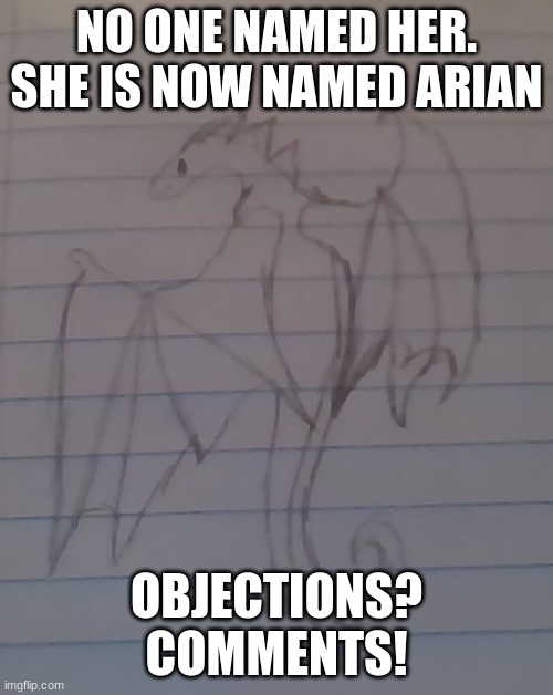 NO ONE NAMED HER. SHE IS NOW NAMED ARIAN; OBJECTIONS? COMMENTS! | made w/ Imgflip meme maker