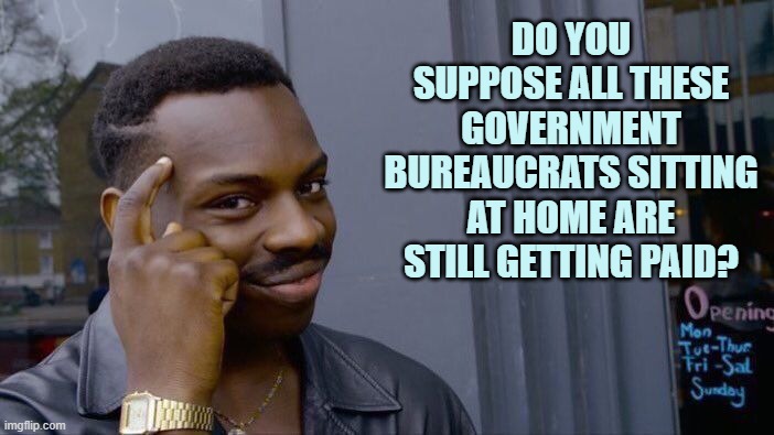 Big Government takes care of it's own. You, not so much. | DO YOU SUPPOSE ALL THESE GOVERNMENT BUREAUCRATS SITTING AT HOME ARE STILL GETTING PAID? | image tagged in memes,roll safe think about it | made w/ Imgflip meme maker