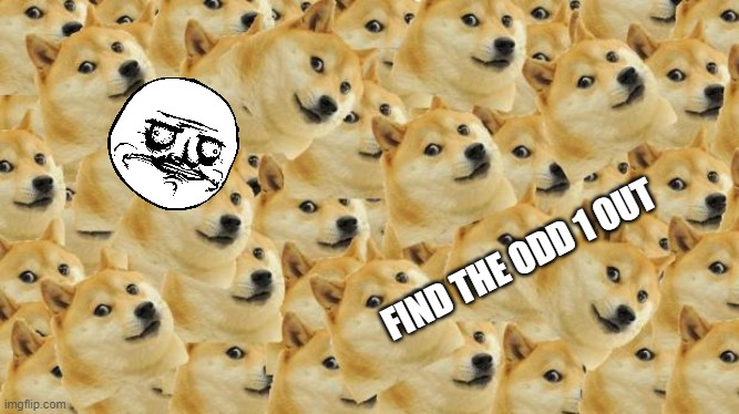 Multi Doge | FIND THE ODD 1 OUT | image tagged in memes,multi doge | made w/ Imgflip meme maker