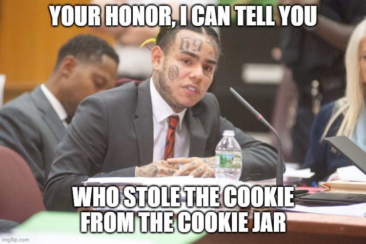 Tekashi 6ix9ine testifies | YOUR HONOR, I CAN TELL YOU; WHO STOLE THE COOKIE FROM THE COOKIE JAR | image tagged in tekashi 6ix9ine testifies | made w/ Imgflip meme maker