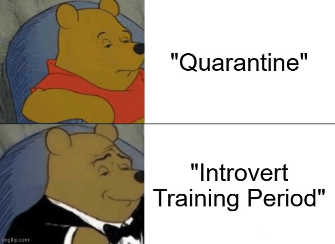 Tuxedo Winnie The Pooh | "Quarantine"; "Introvert Training Period" | image tagged in memes,tuxedo winnie the pooh | made w/ Imgflip meme maker