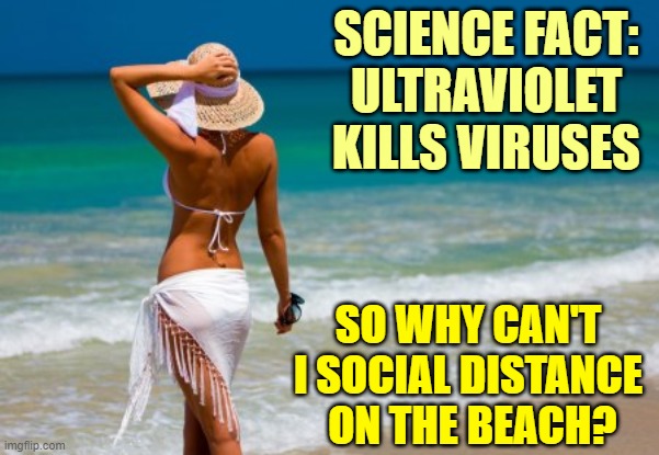 Thanks to government boneheads. | SCIENCE FACT:
ULTRAVIOLET KILLS VIRUSES; SO WHY CAN'T I SOCIAL DISTANCE  ON THE BEACH? | image tagged in coronavirus,freedom,science | made w/ Imgflip meme maker