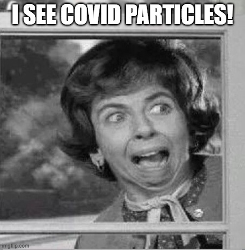 Gladys Kravitz | I SEE COVID PARTICLES! | image tagged in gladys kravitz | made w/ Imgflip meme maker