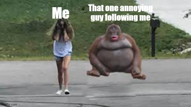 That one guy | Me; That one annoying guy following me | image tagged in memes,fun,funny memes,dank memes | made w/ Imgflip meme maker