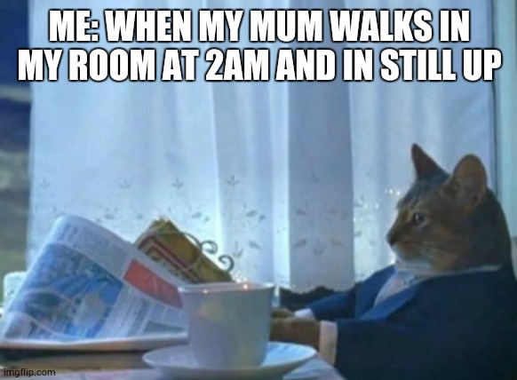 I Should Buy A Boat Cat Meme | ME: WHEN MY MUM WALKS IN MY ROOM AT 2AM AND IN STILL UP | image tagged in memes,i should buy a boat cat | made w/ Imgflip meme maker