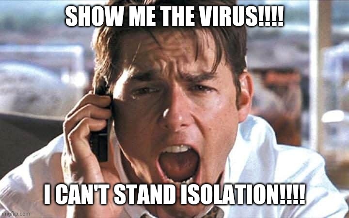 Virus | SHOW ME THE VIRUS!!!! I CAN'T STAND ISOLATION!!!! | image tagged in jerry mcguire,panic | made w/ Imgflip meme maker