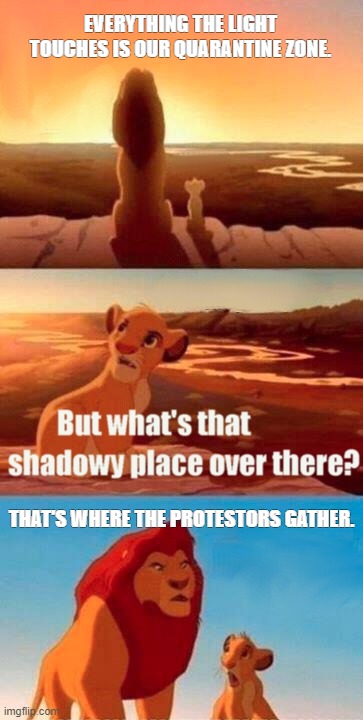 Simba Shadowy Place | EVERYTHING THE LIGHT TOUCHES IS OUR QUARANTINE ZONE. THAT'S WHERE THE PROTESTORS GATHER. | image tagged in memes,simba shadowy place | made w/ Imgflip meme maker