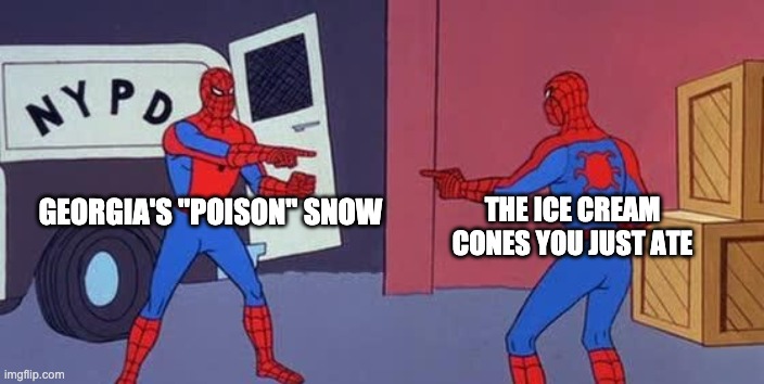 Spider Man Double | THE ICE CREAM CONES YOU JUST ATE; GEORGIA'S "POISON" SNOW | image tagged in spider man double | made w/ Imgflip meme maker