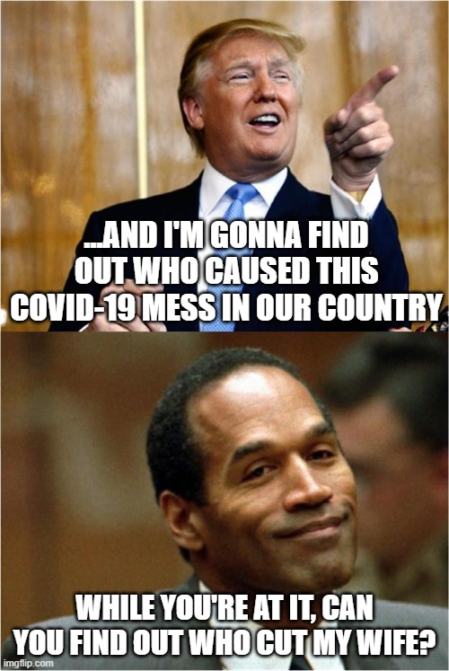 Lookin' for the bad guy | ...AND I'M GONNA FIND OUT WHO CAUSED THIS COVID-19 MESS IN OUR COUNTRY; WHILE YOU'RE AT IT, CAN YOU FIND OUT WHO CUT MY WIFE? | image tagged in donald,trump,oj,simpson | made w/ Imgflip meme maker
