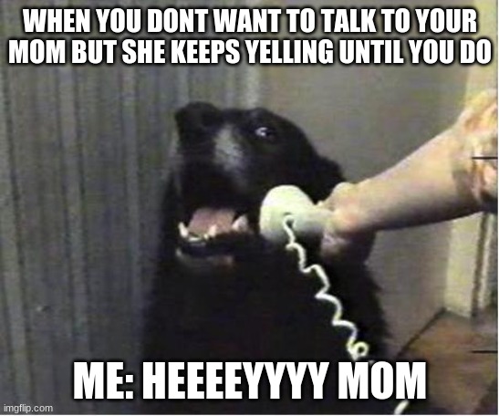 Yes this is dog | WHEN YOU DONT WANT TO TALK TO YOUR MOM BUT SHE KEEPS YELLING UNTIL YOU DO; ME: HEEEEYYYY MOM | image tagged in yes this is dog | made w/ Imgflip meme maker