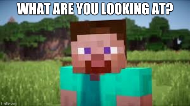 WHAT ARE YOU LOOKING AT? | image tagged in minecraft | made w/ Imgflip meme maker