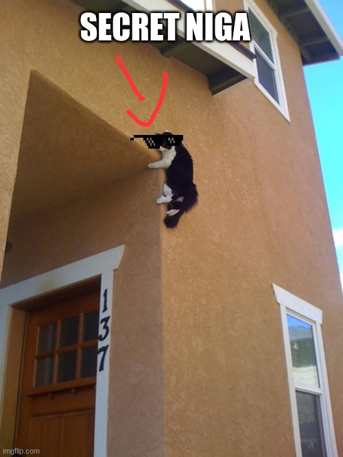 Cat Attack | SECRET NIGA | image tagged in cat attack | made w/ Imgflip meme maker