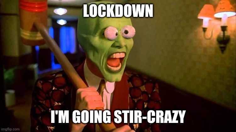 The mask | LOCKDOWN; I'M GOING STIR-CRAZY | image tagged in meme | made w/ Imgflip meme maker