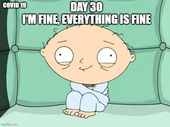 crazy lad | DAY 30
I'M FINE, EVERYTHING IS FINE; COVID 19 | image tagged in crazy lad | made w/ Imgflip meme maker