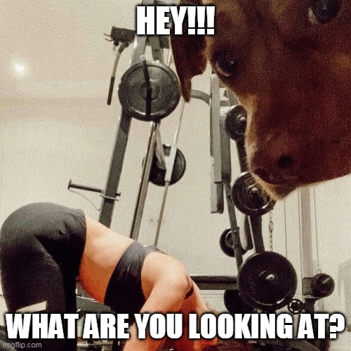 Workout | HEY!!! WHAT ARE YOU LOOKING AT? | image tagged in workout | made w/ Imgflip meme maker