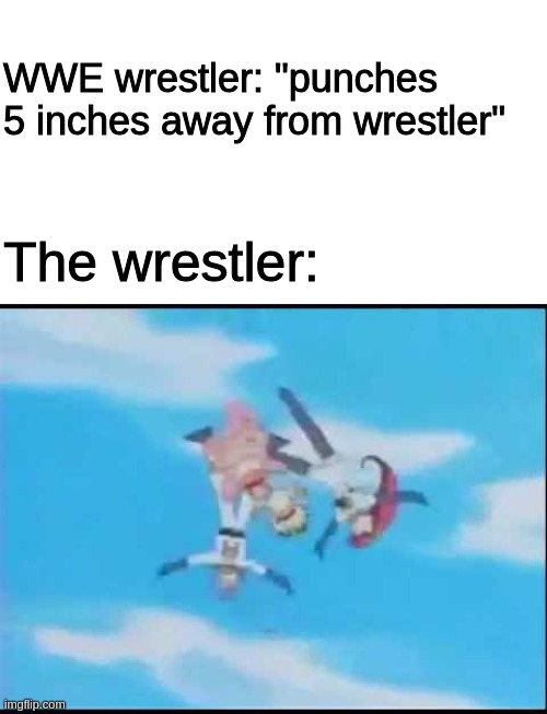  WWE wrestler: "punches 5 inches away from wrestler"; The wrestler: | image tagged in oof | made w/ Imgflip meme maker