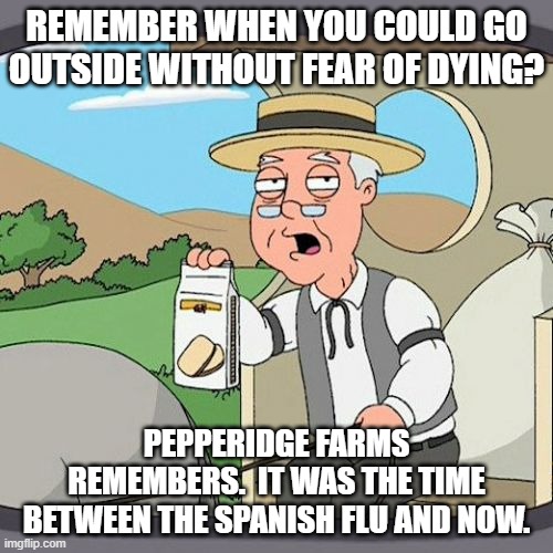 Pepperidge Farm Remembers Meme | REMEMBER WHEN YOU COULD GO OUTSIDE WITHOUT FEAR OF DYING? PEPPERIDGE FARMS REMEMBERS.  IT WAS THE TIME BETWEEN THE SPANISH FLU AND NOW. | image tagged in memes,pepperidge farm remembers | made w/ Imgflip meme maker