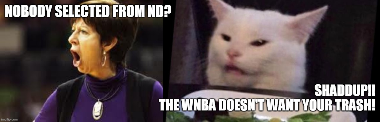 NOBODY SELECTED FROM ND? SHADDUP!!
THE WNBA DOESN'T WANT YOUR TRASH! | made w/ Imgflip meme maker