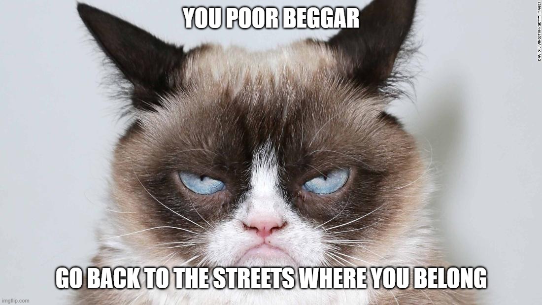 grumpy cat 2.0 | YOU POOR BEGGAR GO BACK TO THE STREETS WHERE YOU BELONG | image tagged in grumpy cat 20 | made w/ Imgflip meme maker