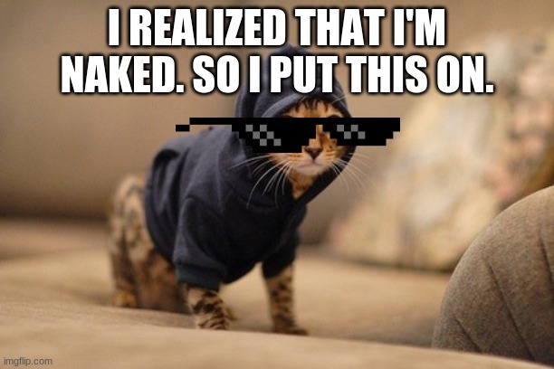 Hoody Cat Meme | I REALIZED THAT I'M NAKED. SO I PUT THIS ON. | image tagged in memes,hoody cat | made w/ Imgflip meme maker