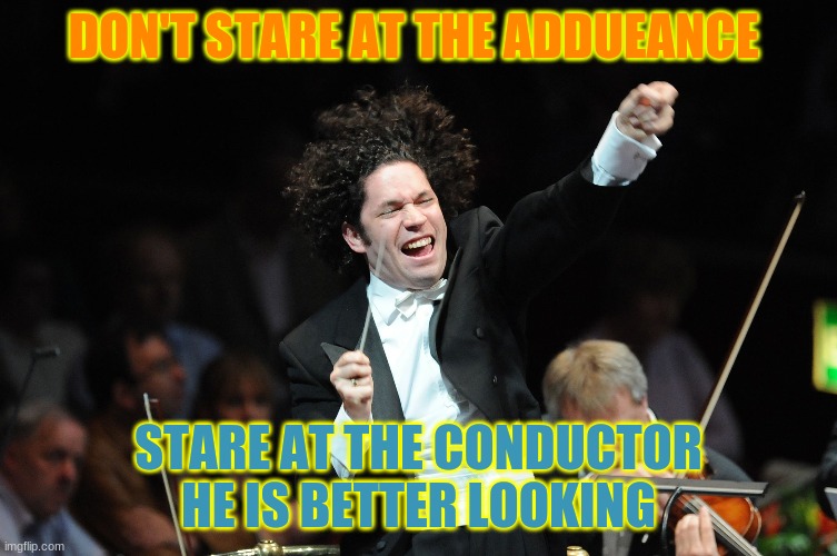 Orchestra Conductor | DON'T STARE AT THE ADDUEANCE; STARE AT THE CONDUCTOR HE IS BETTER LOOKING | image tagged in orchestra conductor | made w/ Imgflip meme maker