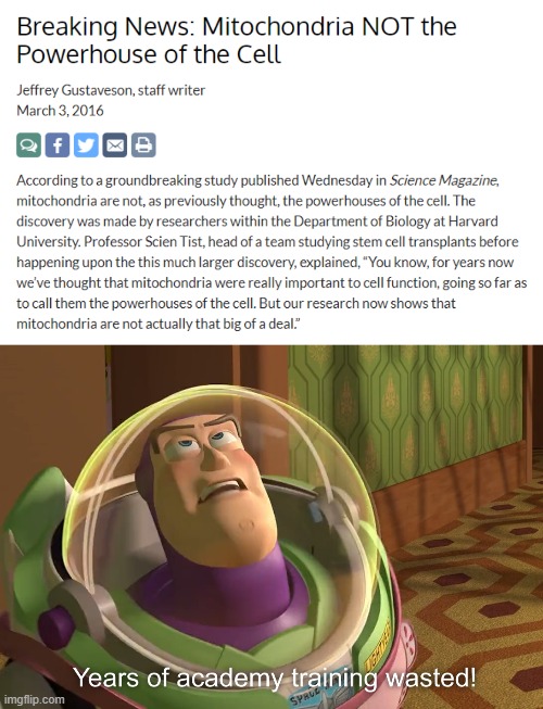 mitochondria is the powerhouse of the cell | image tagged in years of academy training wasted,funny,memes,buzz lightyear,cell | made w/ Imgflip meme maker
