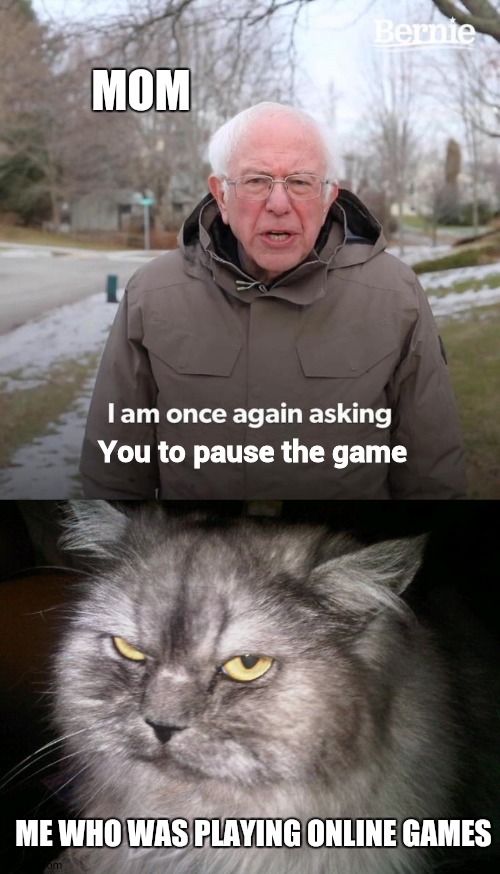 MOM; You to pause the game; ME WHO WAS PLAYING ONLINE GAMES | image tagged in irritated cat,memes,bernie i am once again asking for your support | made w/ Imgflip meme maker