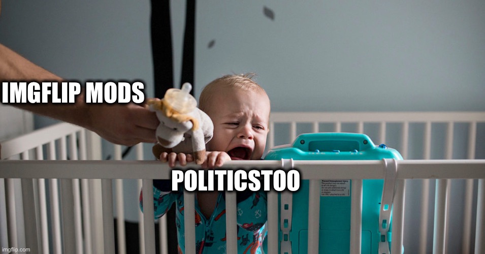 The real reason PoliticsTOO was allowed to be created | IMGFLIP MODS; POLITICSTOO | image tagged in imgflip,liberals,democrats,triggered liberal,safe space,snowflakes | made w/ Imgflip meme maker