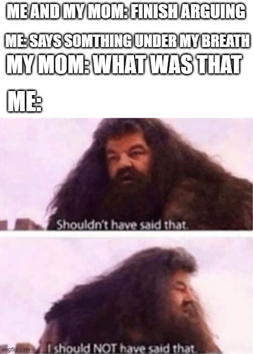 Shouldn't have said that | ME: SAYS SOMTHING UNDER MY BREATH; ME AND MY MOM: FINISH ARGUING; MY MOM: WHAT WAS THAT; ME: | image tagged in shouldn't have said that | made w/ Imgflip meme maker