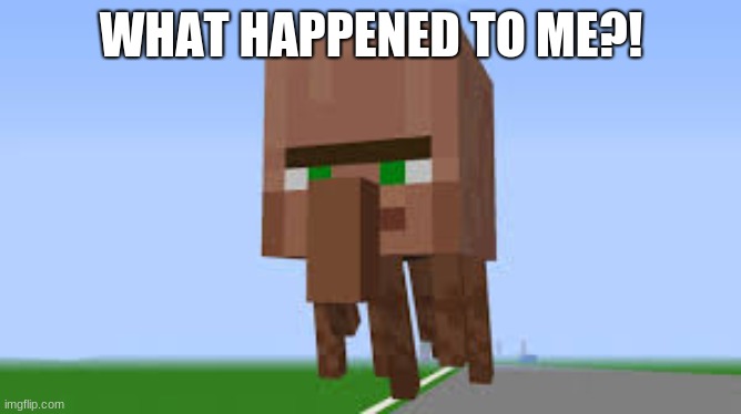 WHAT HAPPENED TO ME?! | image tagged in minecraft | made w/ Imgflip meme maker