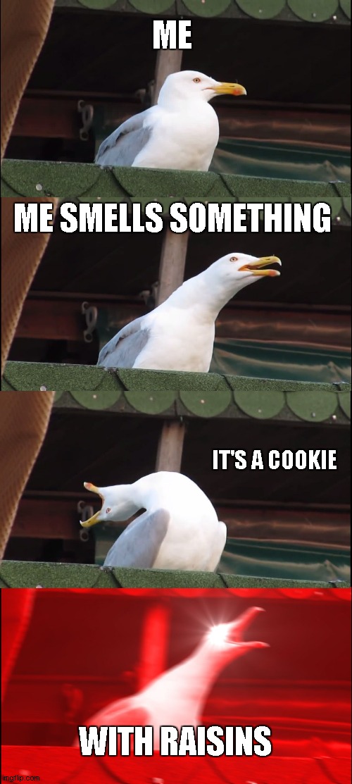 Inhaling Seagull Meme | ME; ME SMELLS SOMETHING; IT'S A COOKIE; WITH RAISINS | image tagged in memes,inhaling seagull | made w/ Imgflip meme maker