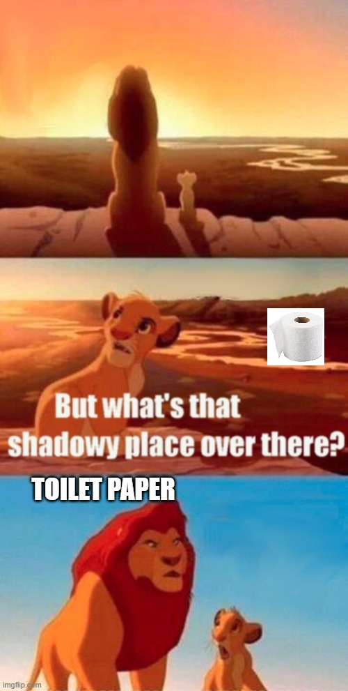 Simba Shadowy Place Meme | TOILET PAPER | image tagged in memes,simba shadowy place | made w/ Imgflip meme maker