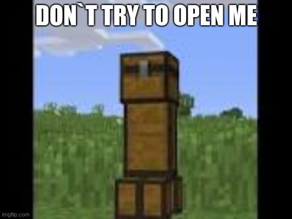 DON`T TRY TO OPEN ME | image tagged in minecraft | made w/ Imgflip meme maker