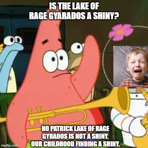 No Patrick Meme | IS THE LAKE OF RAGE GYARADOS A SHINY? NO PATRICK LAKE OF RAGE GYRADOS IS NOT A SHINY. OUR CHILDHOOD FINDING A SHINY. | image tagged in memes,no patrick | made w/ Imgflip meme maker